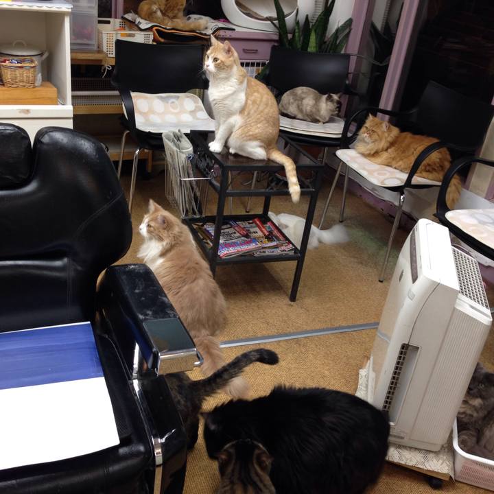 4360b0ed 3ea8 48dd aca9 556cb0a42e7b