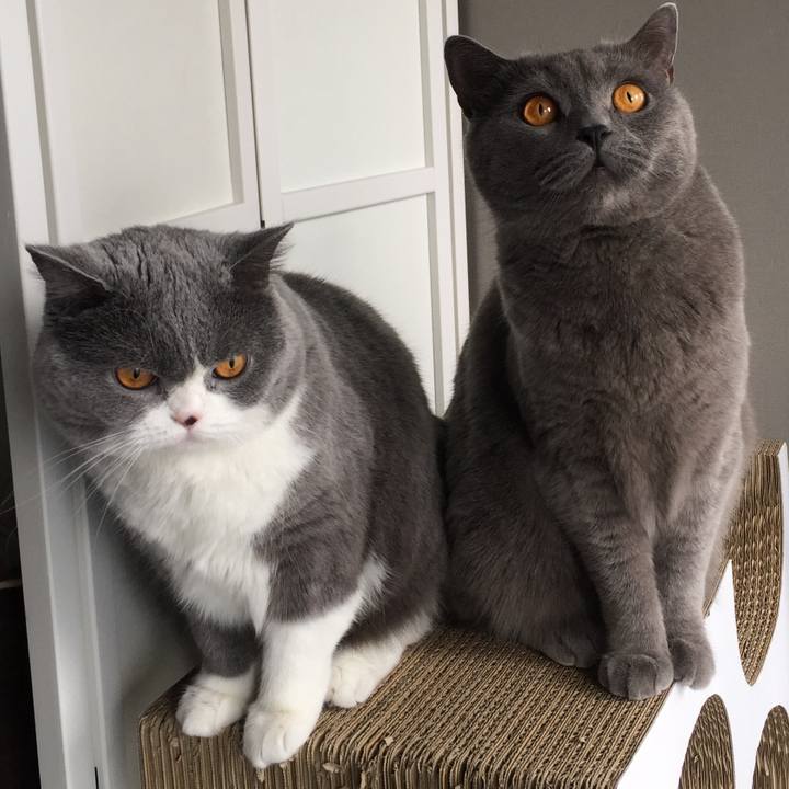 4360b2e5 6434 4691 aa0f f24f13c0ecf2