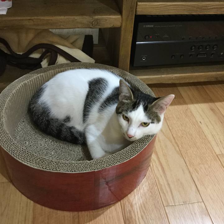 4360e750 e4be 454e 9aca abdbaff5a0cb