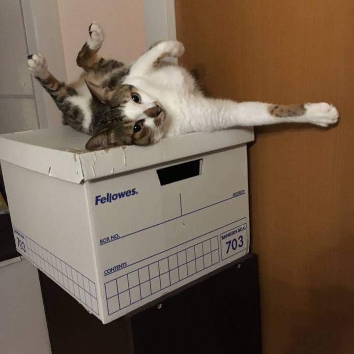 4360ffa5 f928 493a 8973 f01d6f8d50f3