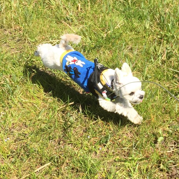 43615fa8 67b6 4fa4 855c c72a4e123b0a