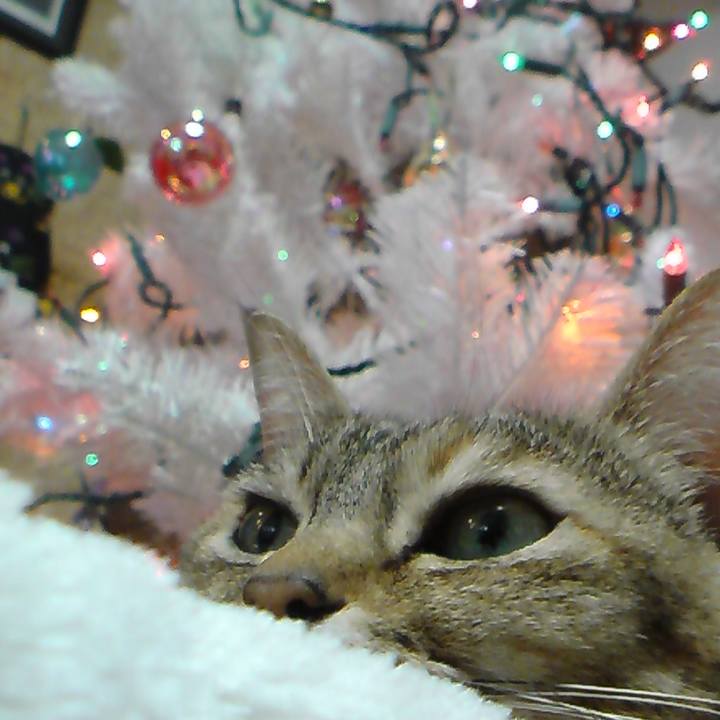 4361bc57 7044 446c 8d19 d43a7cae02f3