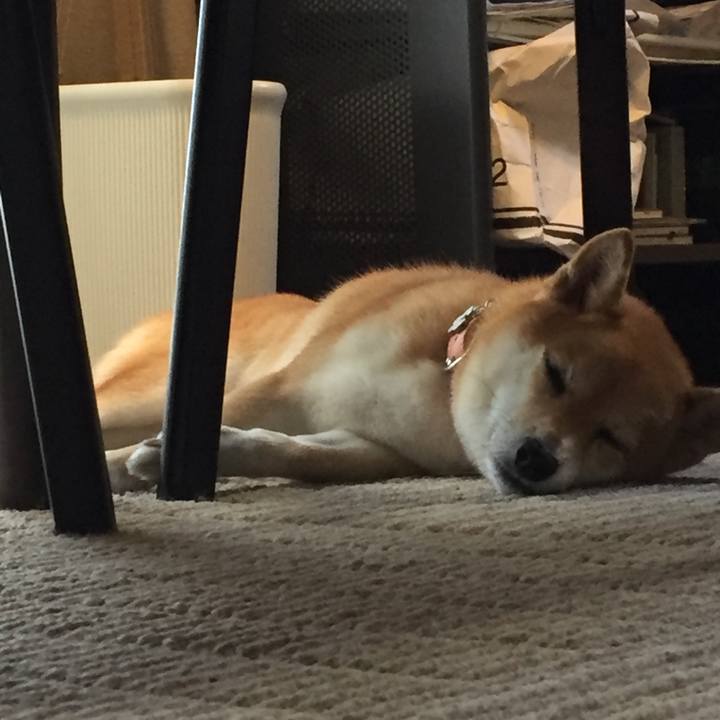 4361c647 0216 4a1d a1c4 f8c85854e6fa