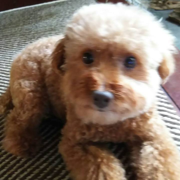 4361db0e 86dc 4edf ac7e 42fcff7cba19