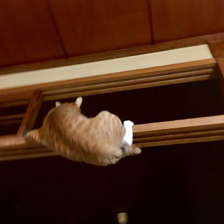 436230ba bfd8 46e8 a67c 346024d07467