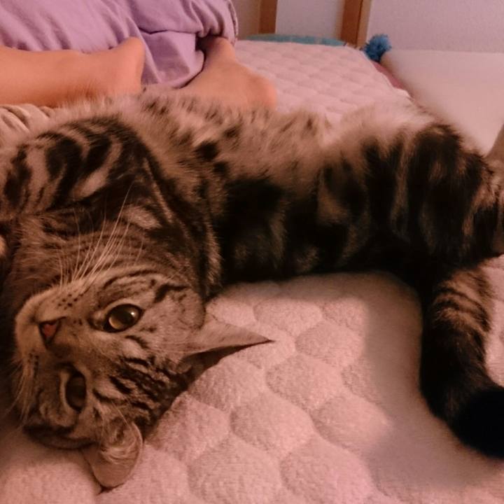 43624d14 fc9e 4db0 9b59 a5cfd1c74d05