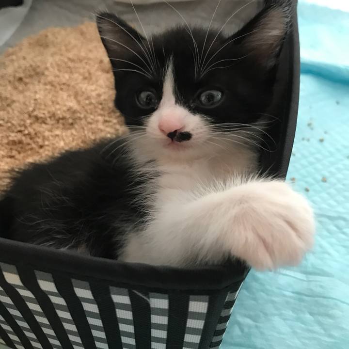 436262c7 1e9f 4a58 9954 ff021700afc1