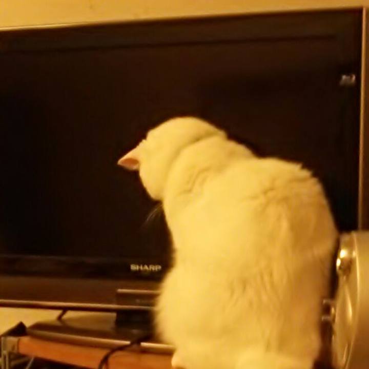 4362a629 c0ed 4956 995e 080775b3a53b