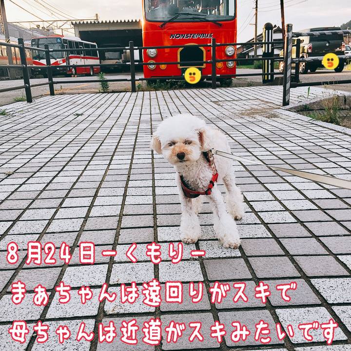 4363a934 9360 4851 90e0 ee858af8df91