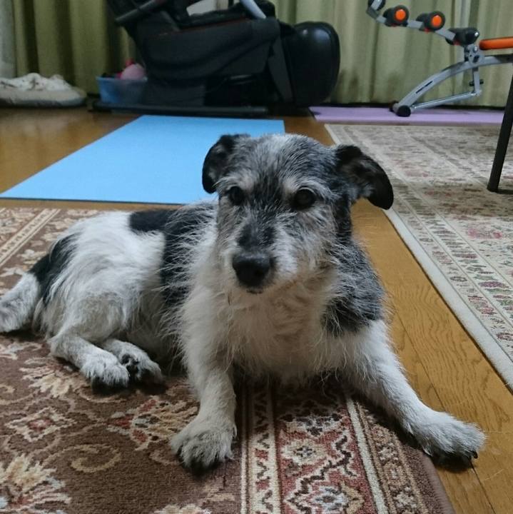 4363a991 96a8 4987 af51 3d697e5de2d7