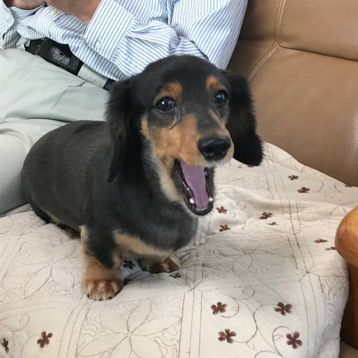 4363ae8a 6086 456b 9a17 4d8b134fb82a