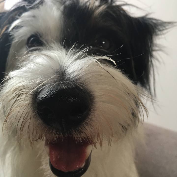 436424cc 39f9 4a67 b226 a1c29e71d6df