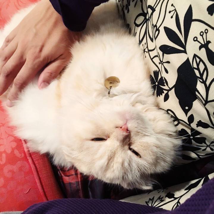 43642ad3 9ea2 4269 be1d 5c71d71f297b