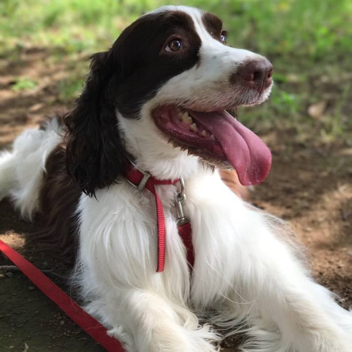 4364bd88 fe30 4226 9df9 2e953e612fbc