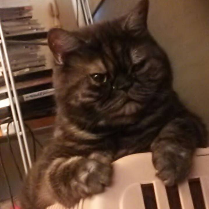 4364bede 74f1 4df3 b603 2f217c75d042