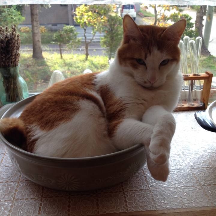 4364ce11 9f41 4f44 a599 54115aefc433