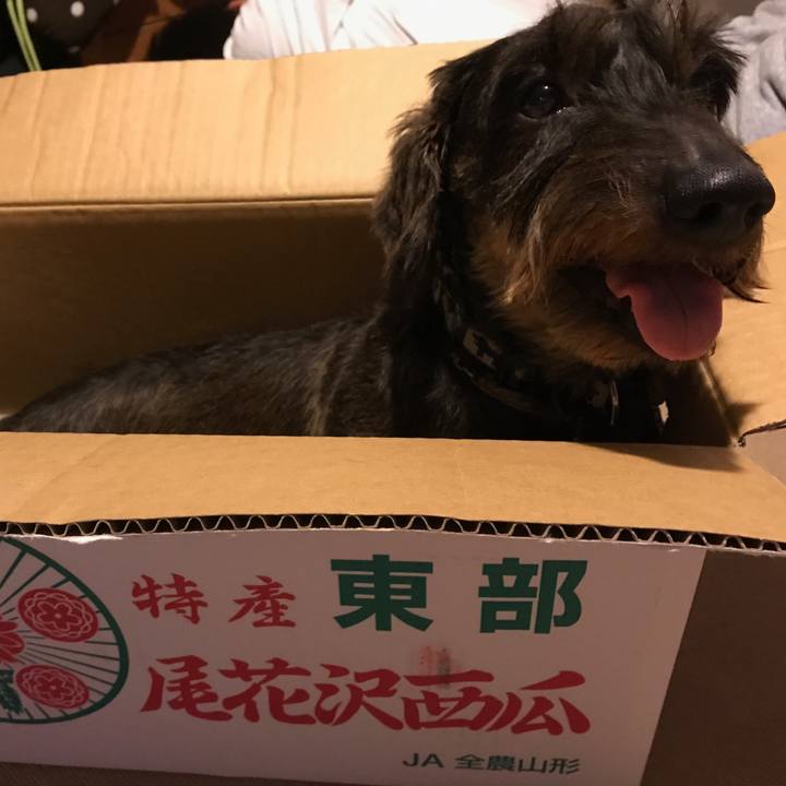 4364e622 536d 4f57 b391 ac6a0b6341c3