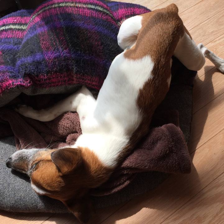 43666920 1d7c 4a8a 9681 e5710c227ec7