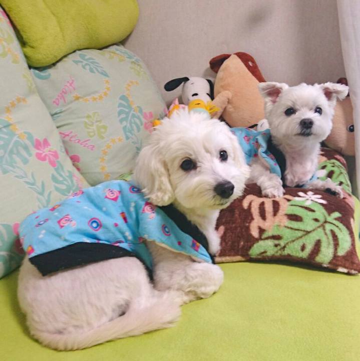 436693b1 6ef0 461d 8181 ee5a521526dc