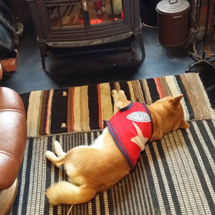 4366d4e0 f95f 4b3c b4b2 44b3cb8f62b6