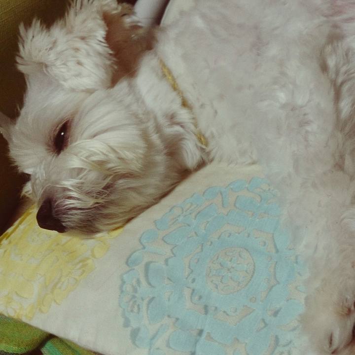 4367334f a5cd 4d9d aaf9 49a7f7202e67