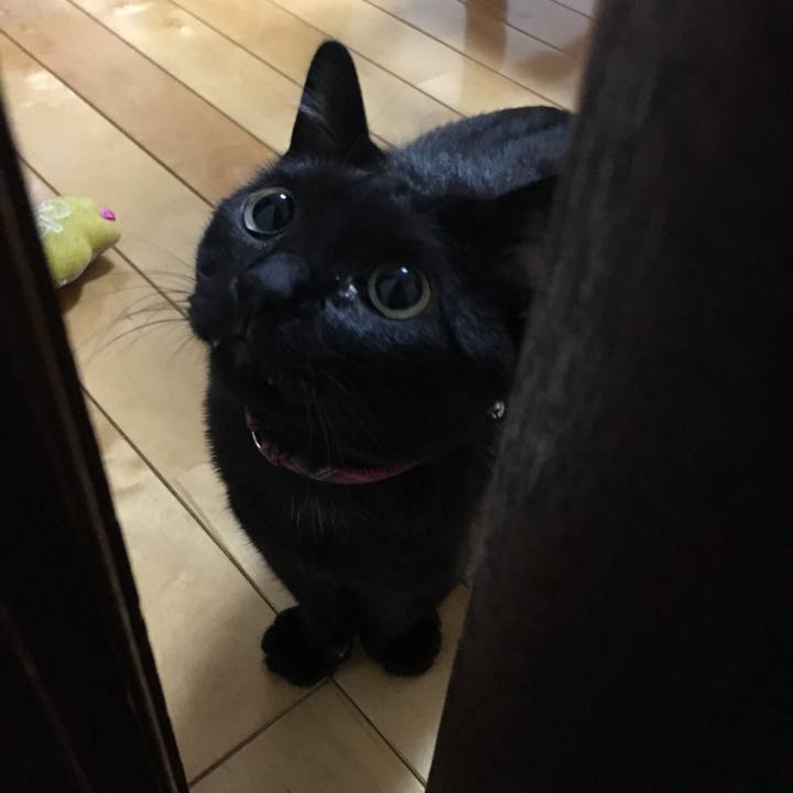 43678c72 12f4 4f47 945d f19325ebd545