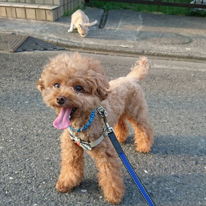 43679557 1871 4b51 af7b 2210e4728b79