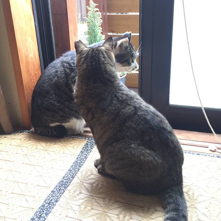 4367d38f 6577 4bf3 a955 e0302e5c2c41