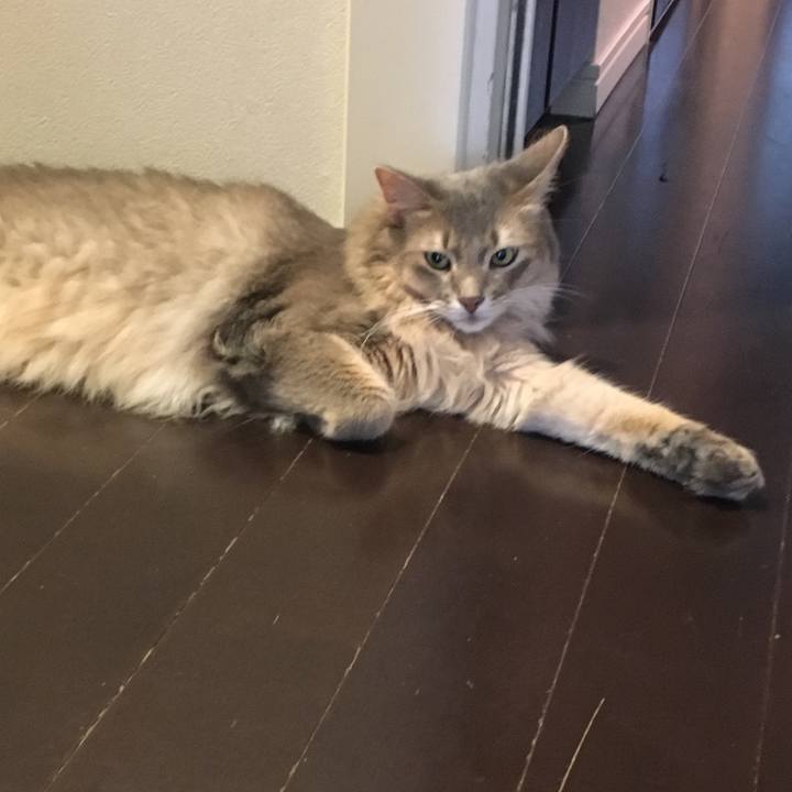 43680f2e 1516 4f8f 9230 122b1852e1b9