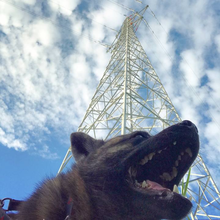 4368229a ad2f 4b45 bd37 3374a3c828ab