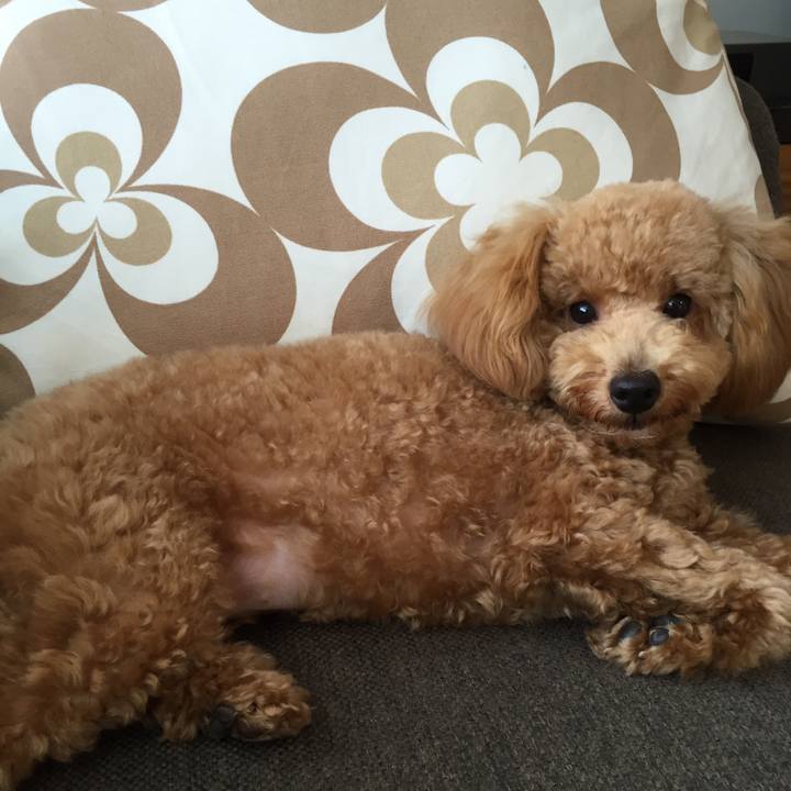 4368bea9 7436 4818 8fb8 0d240f6aed0e