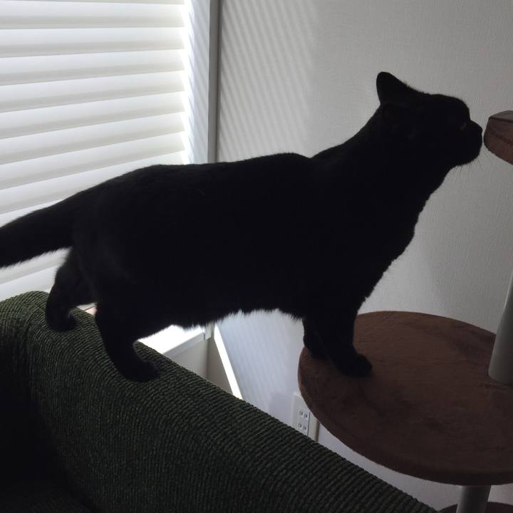 4368e223 8baa 46ad 9f18 bd0477d97036