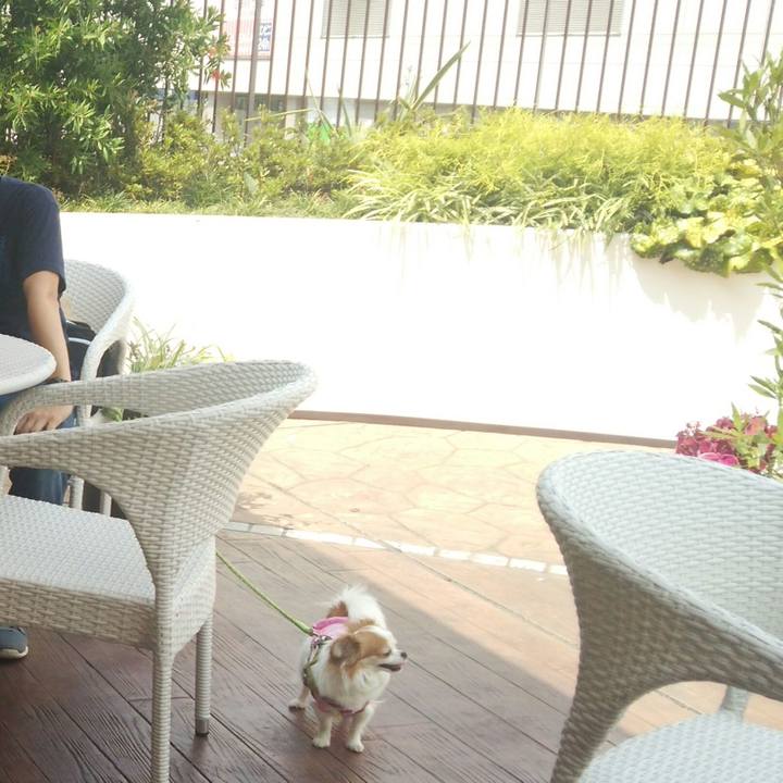 4369a29f 992e 43e1 aa65 f77b58e44d97