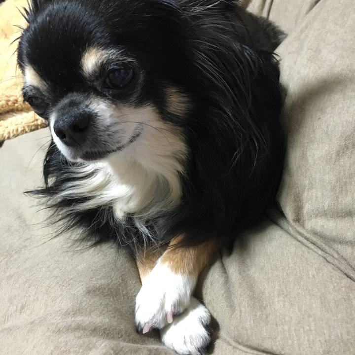 4369a7b1 bca6 4bc1 915c 4fd343243171