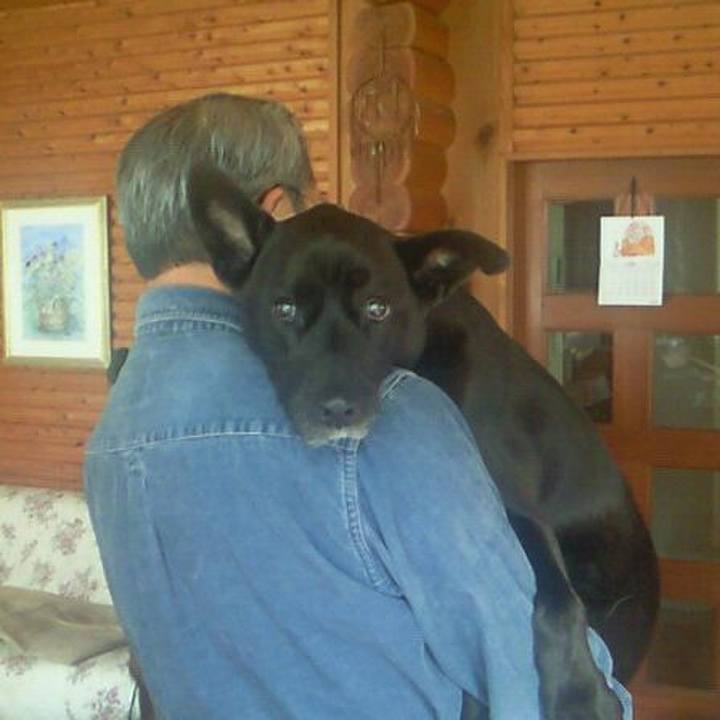 436a1c64 0287 4e48 8cb1 8e02154c78c2