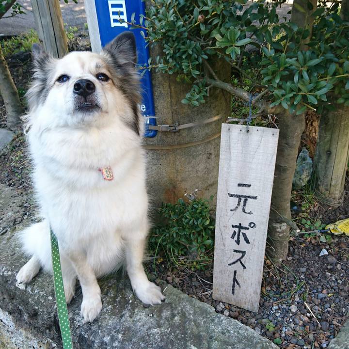 436a4f1a 3290 4d77 938f a1993a3c92ad