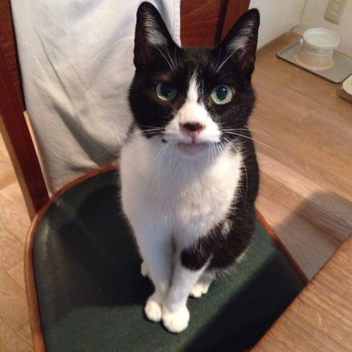 436a6733 9705 4827 ba2d 1750316ceb85