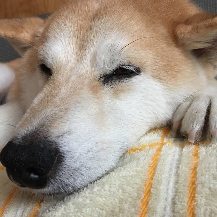 436ad4d7 055a 437e 9fa3 209ab62ca37e