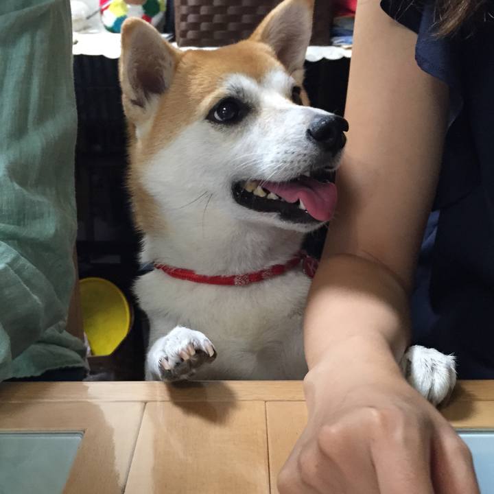 436aec0e c5f7 4171 8ca5 53d59b508b87