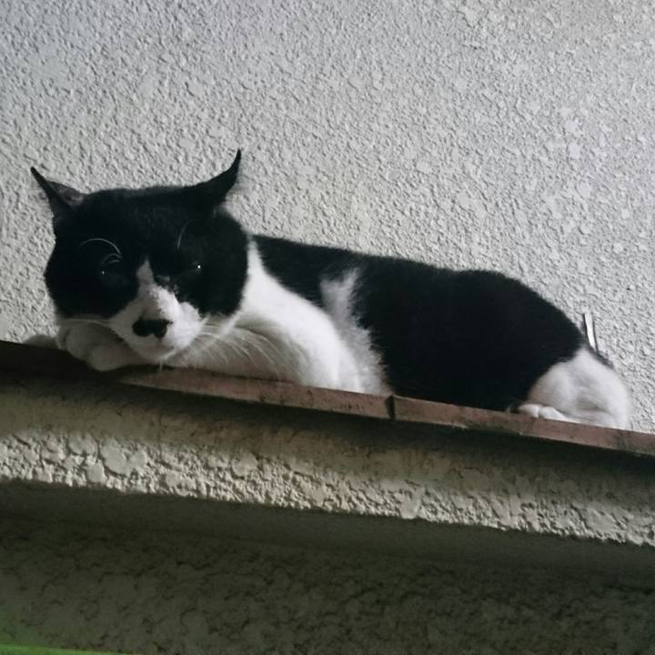 436afc3a e7c6 468d 8236 2ba7770d9da9