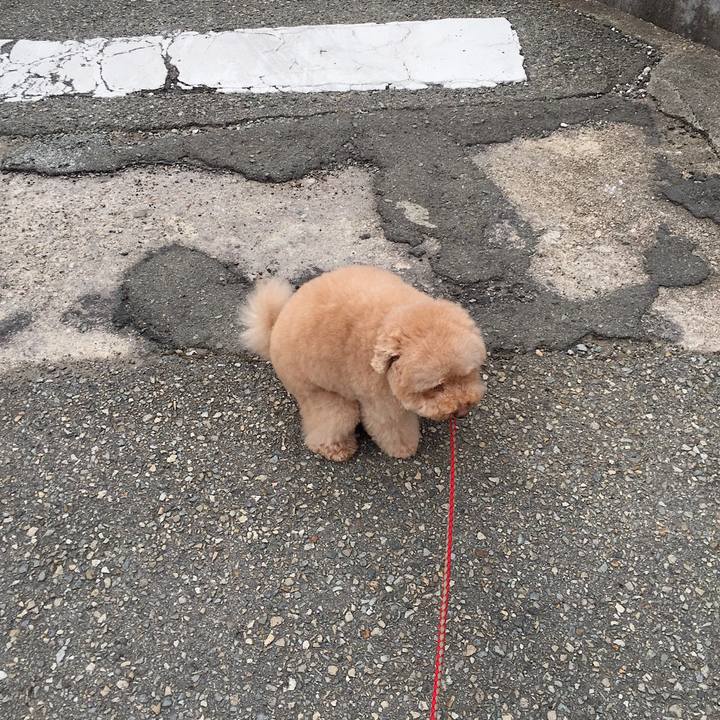 436afcb0 2525 47e4 a7de a75f32f85ee3