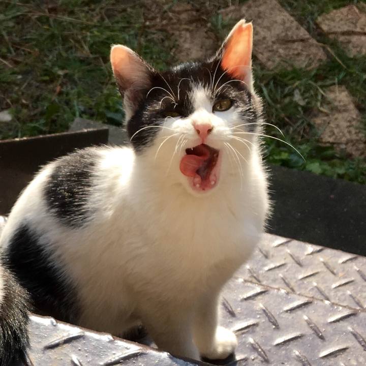 436b1ae4 99c9 40c6 b4a7 7a21b2f91d73