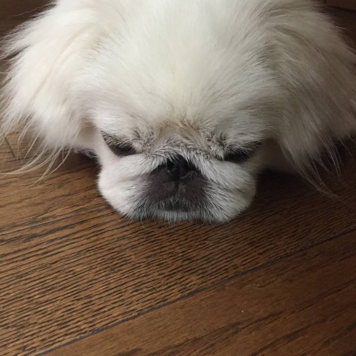 436b85ec 0d66 4ed4 9707 6c256ec5a80c