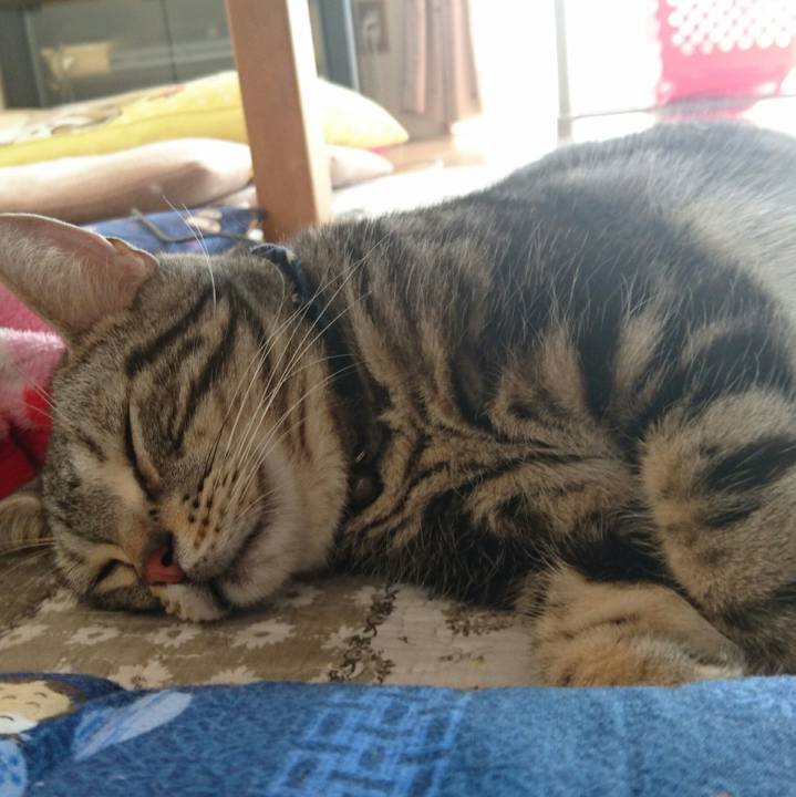 436b9c7e 5876 4ecf 90f6 fd7c193886d1