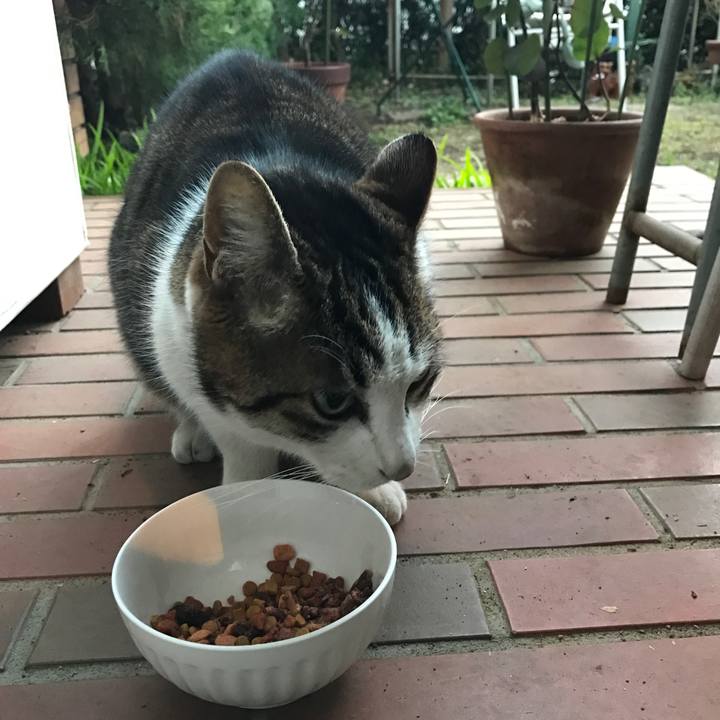 436bbbb1 3832 40df a403 4e46b93919c0