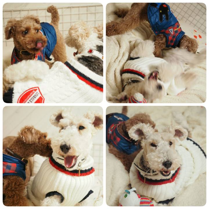 436c38ec 9d72 4b97 9003 6cc7ff3fd6b8