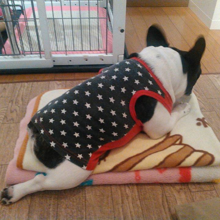 436c589a 2b57 4a79 b048 85c056bb20c6