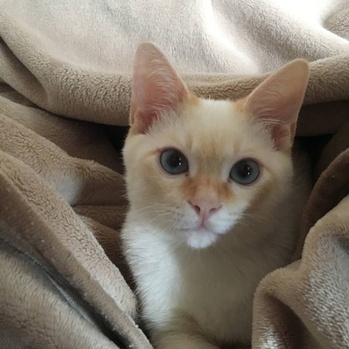 436cf3db 6cce 4cdd bf64 9d610132fdc1