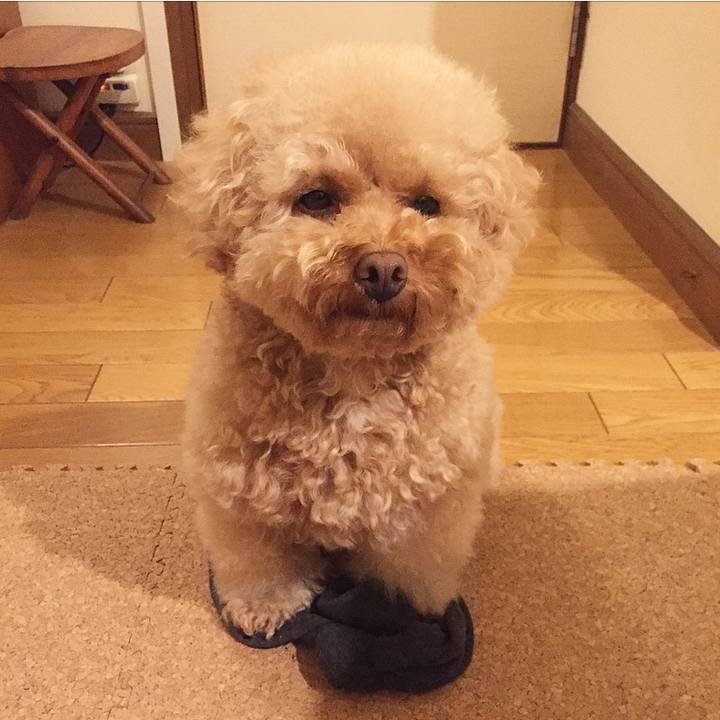 436d0f3b bc23 4e18 a5a1 b72e9a076ea9