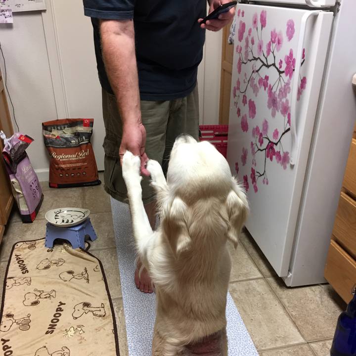 436d7c23 51ec 4e0c b840 96c3b00d61a8